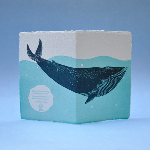 Blue Whale - Image 3