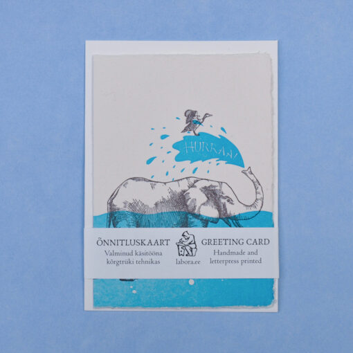 Elephant and Duck - Image 6