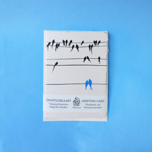 Congratulations birds - Image 4