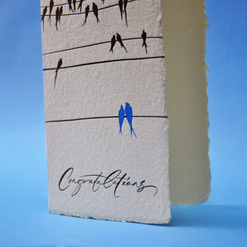 Congratulations birds - Image 3