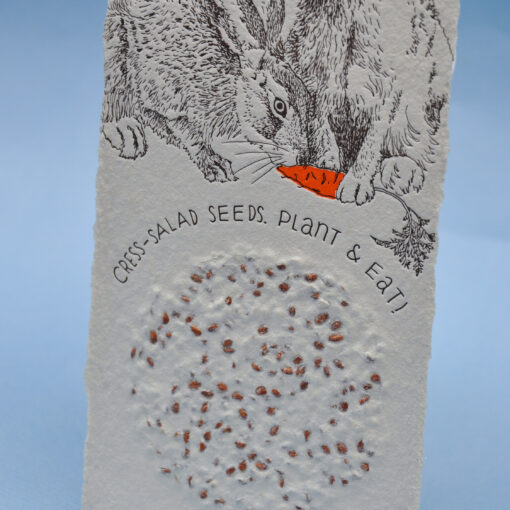 Wild hares - Image 3
