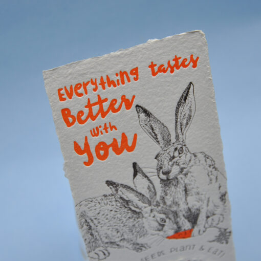 Wild hares - Image 4