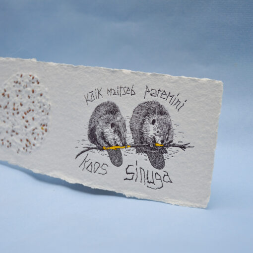 Beavers - Image 3