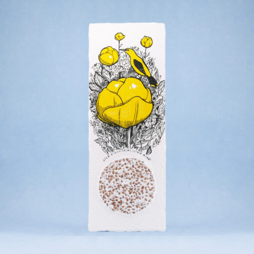 Globeflower