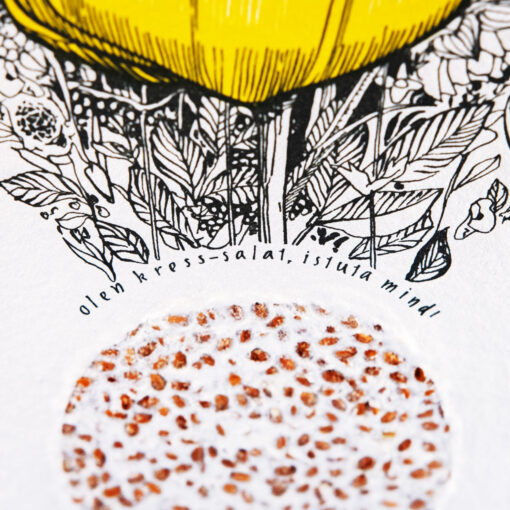 Globeflower - Image 3