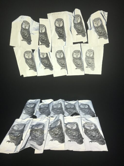 Boreal Owl Reflective Bag