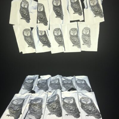 Boreal Owl Reflective Bag
