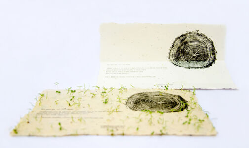 growing seed paper letterpress printed wedding invitation